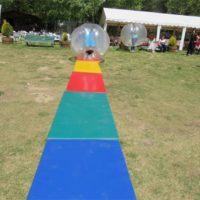 Bumper Ball 4